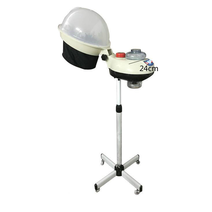 Micro Mist Standing Hair Salon Helmet Hood Dryer Hair Steamer